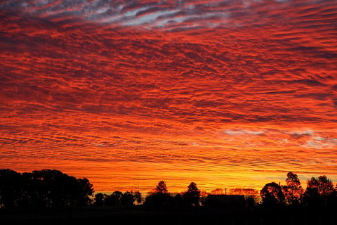 Private Full-Day Wine Tour In Hunter Valley - Lennox Head Accommodation 0