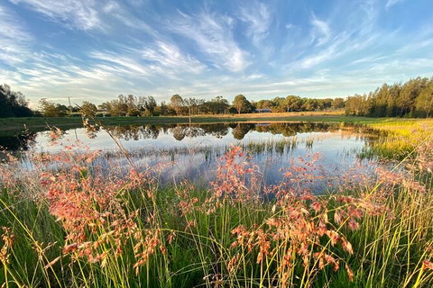 Private Full-Day Wine Tour In Hunter Valley - Lennox Head Accommodation 5