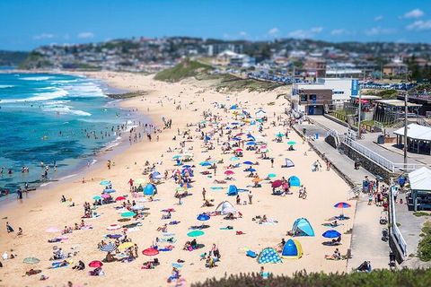 Newcastle Scenic Explorer - 2 Hour Tour By Minibus - Lennox Head Accommodation 6