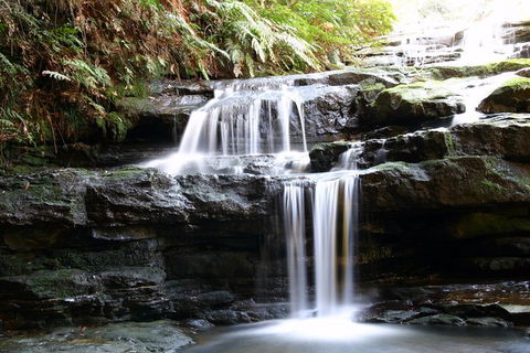 Private 10-hour Tour To Blue Mountains From Sydney - Hotel Pick Up & Drop Off - Lennox Head Accommodation 6