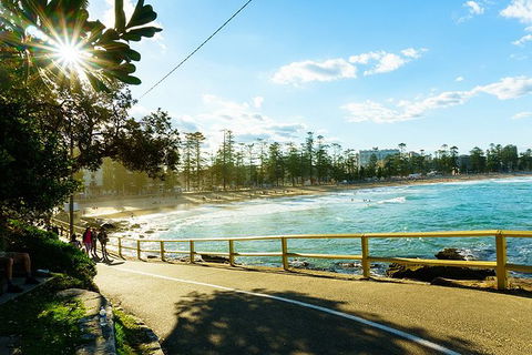 Sydney With Bondi And Beaches Essentials Private Day Tour - Lennox Head Accommodation 8