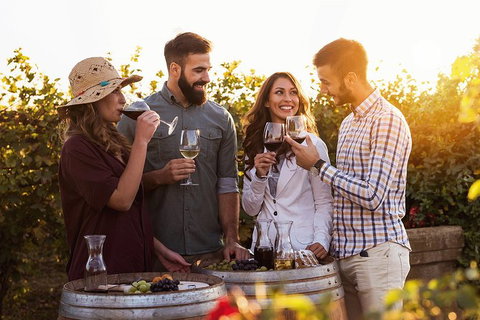 Hunter Valley Highlights Private Wine Tour From Sydney - Lennox Head Accommodation 0