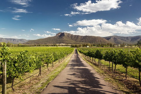 Hunter Valley Highlights Private Wine Tour From Sydney - Lennox Head Accommodation 2