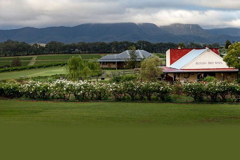 Hunter Valley Highlights Private Wine Tour From Sydney - Lennox Head Accommodation 5