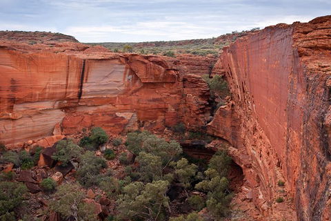 Uluru, Kata Tjuta And Kings Canyon Camping Safari From Alice Springs - Lennox Head Accommodation 4