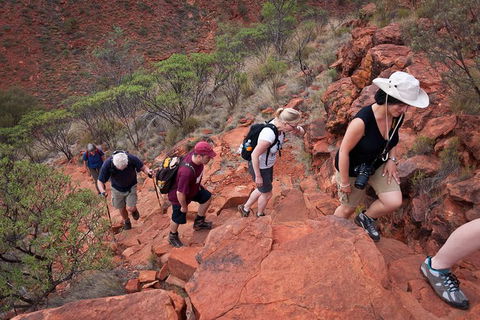 Uluru, Kata Tjuta And Kings Canyon Camping Safari From Alice Springs - Lennox Head Accommodation 3
