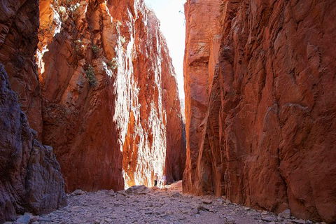 Best Of Alice Springs Full Day Tour - Lennox Head Accommodation 6