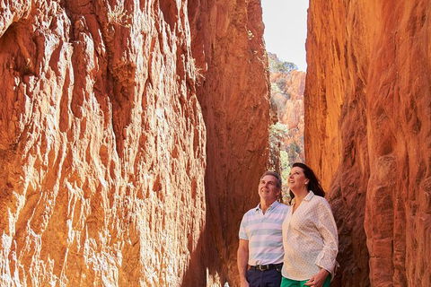 Best Of Alice Springs Full Day Tour - Lennox Head Accommodation 4