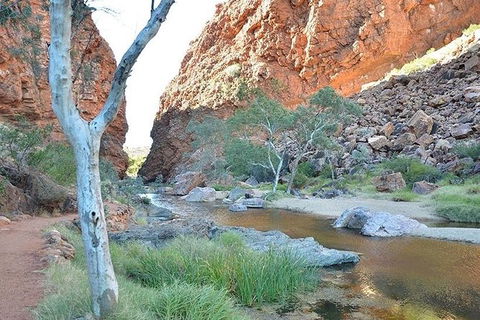 Alice Springs, Uluru Ayers Rock & Kings Canyon 8 Days Touring Package - Lennox Head Accommodation 2