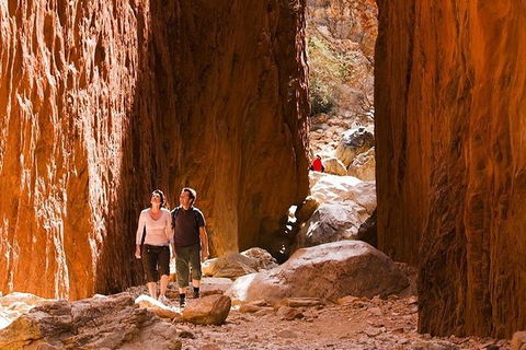 Alice Springs, Uluru Ayers Rock & Kings Canyon 8 Days Touring Package - Lennox Head Accommodation 5