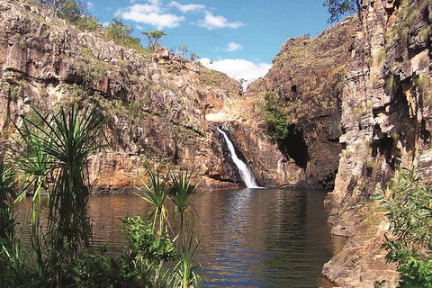 Kakadu, Katherine & Litchfield Adventure - Lennox Head Accommodation 1