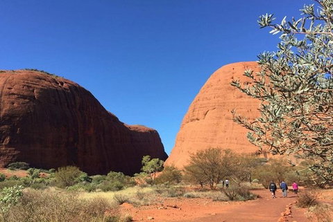 5-Hour Kata Tjuta Sunrise Tour From Ayers Rock With Breakfast - Lennox Head Accommodation 2