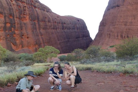 5-Hour Kata Tjuta Sunrise Tour From Ayers Rock With Breakfast - Lennox Head Accommodation 3