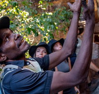 Arnhem Land Injalak Hill Full-Day Tour from Darwin - Lennox Head Accommodation