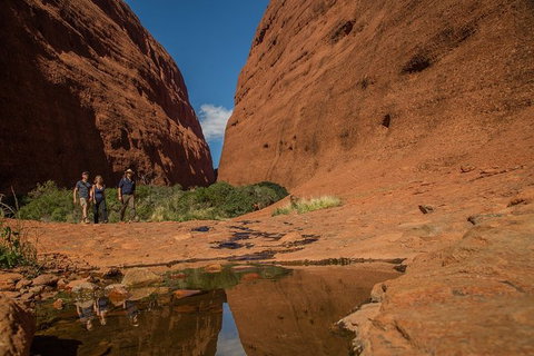 4 Day/3 Night Perentie Dreaming Safari - Lennox Head Accommodation 3