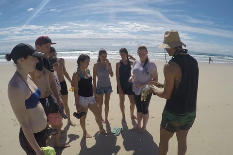 Half Day Dolphin Kayaking And Snorkeling Tour - Lennox Head Accommodation 6