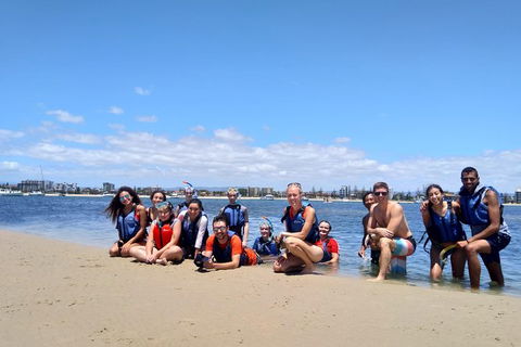 Half Day Dolphin Kayaking And Snorkeling Tour - Lennox Head Accommodation 9