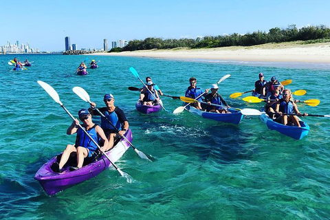 Half Day Dolphin Kayaking And Snorkeling Tour - Lennox Head Accommodation 11