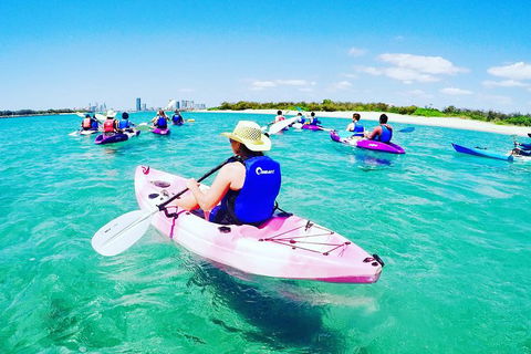 Half Day Dolphin Kayaking And Snorkeling Tour - Lennox Head Accommodation 0