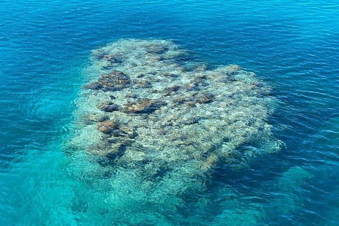 Lady Musgrave Day Trip From Bundaberg Including Snorkeling, Glass Bottom Tour And Guided Island Walk - Lennox Head Accommodation 2
