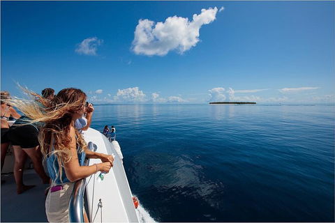 Lady Musgrave Day Trip From Bundaberg Including Snorkeling, Glass Bottom Tour And Guided Island Walk - Lennox Head Accommodation 4