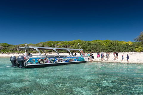 Lady Musgrave Day Trip From Bundaberg Including Snorkeling, Glass Bottom Tour And Guided Island Walk - Lennox Head Accommodation 5