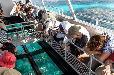 Lady Musgrave Day Trip From Bundaberg Including Snorkeling, Glass Bottom Tour And Guided Island Walk - Lennox Head Accommodation 3