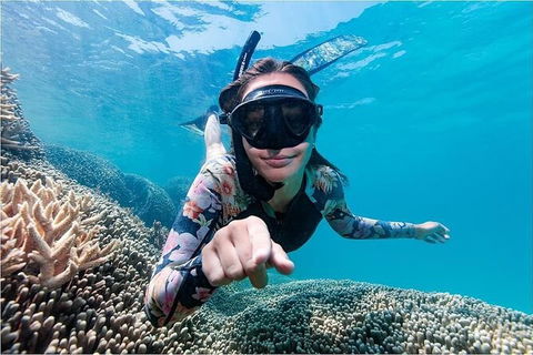 Lady Musgrave Day Trip From Bundaberg Including Snorkeling, Glass Bottom Tour And Guided Island Walk - Lennox Head Accommodation 1