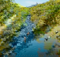 Cruise 'n' Canoe to Australia's Everglades - Lennox Head Accommodation