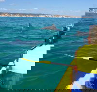 Kayak with Dolphins and 4WD Great Beach Drive Day Trip from Noosa - Lennox Head Accommodation