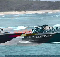 Noosa Thriller - 500hp Ocean Adventure Ride - Lennox Head Accommodation