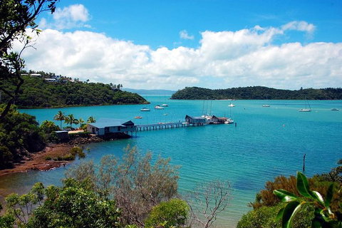 Shared Departure Transfer: Airlie Beach To Proserpine Airport - Lennox Head Accommodation 1
