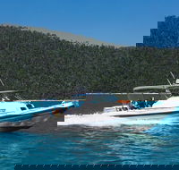 Private Standard Charter Experience in Whitsundays - Lennox Head Accommodation