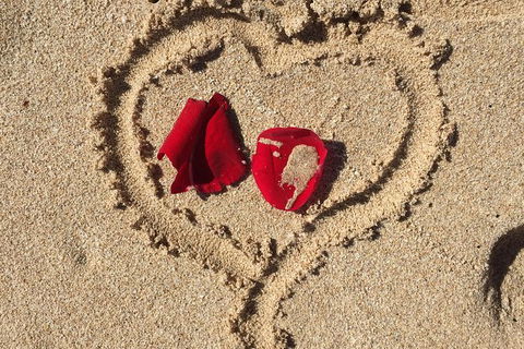 Elope In Paradise - Weddings At Mission Beach - Lennox Head Accommodation 3