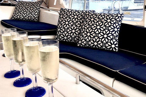 MiLady One Day Whitsunday Private Charter - Lennox Head Accommodation 7
