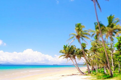 Airport Transfer - Mission Beach To Cairns Airport - Lennox Head Accommodation 3