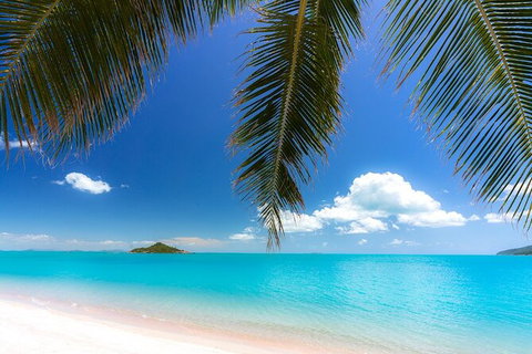 Reef, Wildlife & Rainforest - Reef & Beyond Guided Holidays - Lennox Head Accommodation 4