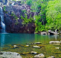 Reef Wildlife  Rainforest - Reef  Beyond Guided Holidays - Lennox Head Accommodation