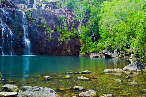 Reef, Wildlife & Rainforest - Reef & Beyond Guided Holidays - Lennox Head Accommodation 0