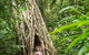 Reef, Wildlife & Rainforest - Reef & Beyond Guided Holidays - thumb 2