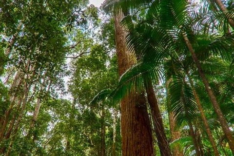 3-Day Fraser Island Hiking And 4WD Adventure From Hervey Bay - Lennox Head Accommodation 1