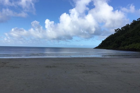 Daintree Luxury Limousine Tour - Full Day - Lennox Head Accommodation 6