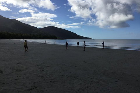 Daintree Luxury Limousine Tour - Full Day - Lennox Head Accommodation 5