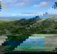 Daintree Luxury Limousine Tour - Full Day - Lennox Head Accommodation