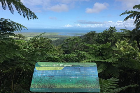 Daintree Luxury Limousine Tour - Full Day - Lennox Head Accommodation 0