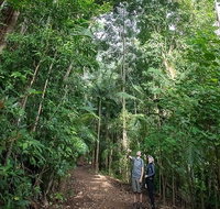 Private Group Eco Tour - Lennox Head Accommodation