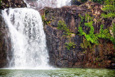 Cedar Creek Falls And Hydeaway Bay Tour - Lennox Head Accommodation 2