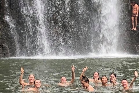 Cedar Creek Falls And Hydeaway Bay Tour - Lennox Head Accommodation 3