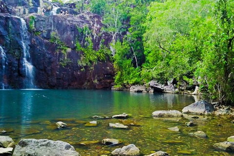 Cedar Creek Falls And Hydeaway Bay Tour - Lennox Head Accommodation 4