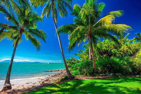 SHUTTLE - Port Douglas And Craiglie Return Transfer - Lennox Head Accommodation 2